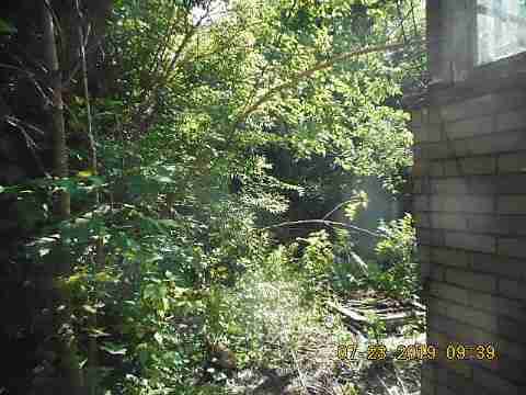 4432 Hurlbut (5)_m.jpg